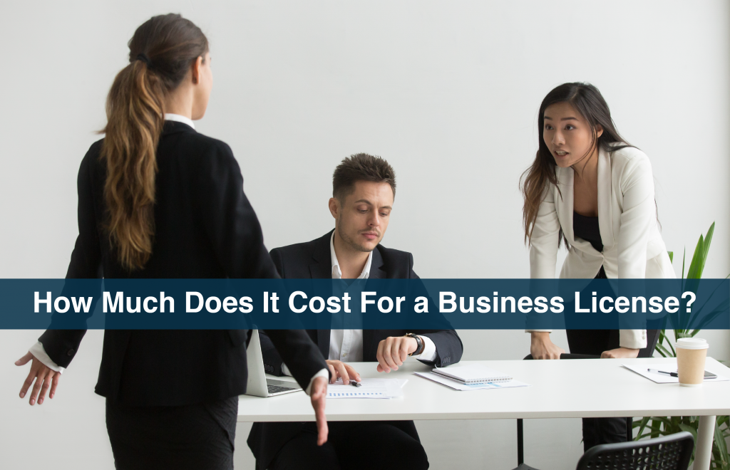 How Much Does It Cost for a Business License